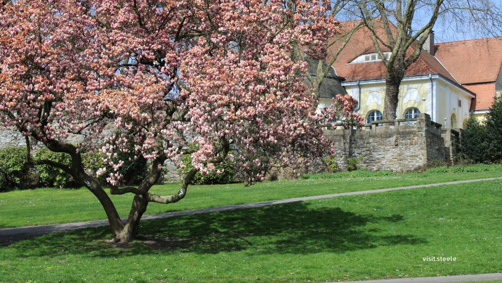 Stadtgarten Steele